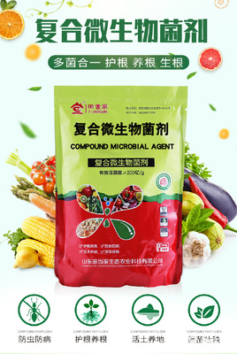土傳病克星 復合微生物菌劑及其抗重茬、抗病害的創新研發