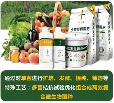 從辣椒加工到菌肥生產，她用五年搶占南方市場！_南方plus_南方+生物有機肥料研發